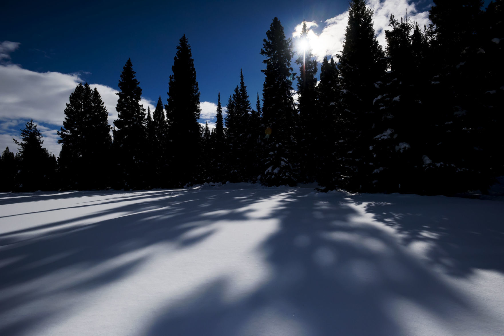 Scenes along the Taggart Trail